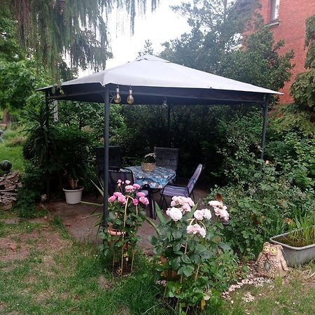 Ferienwohnung Markert Blankenburg  Zimmer foto